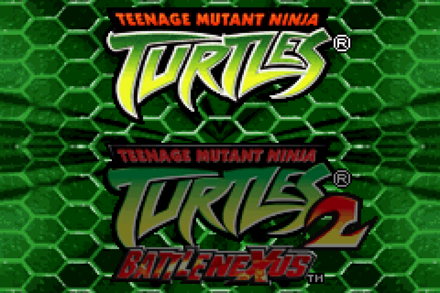 Teenage Mutant Ninja Turtles Double Pack